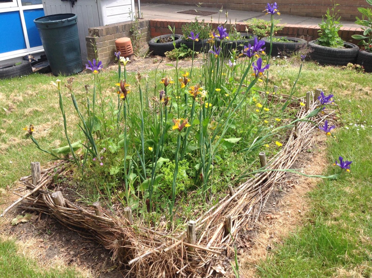 Header image for Tuesday 6th June 2023