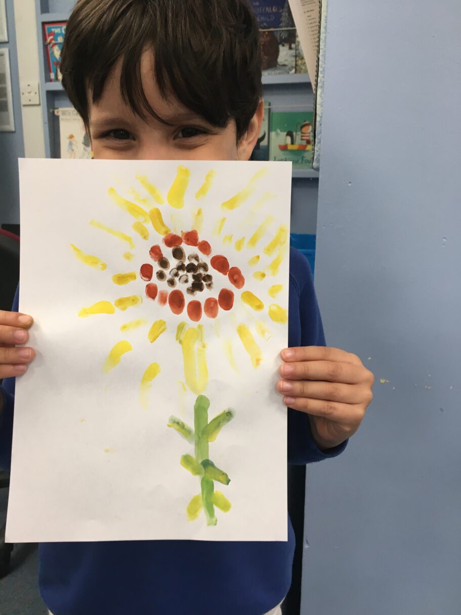 Header image for Year 1 – Growing Sunflowers