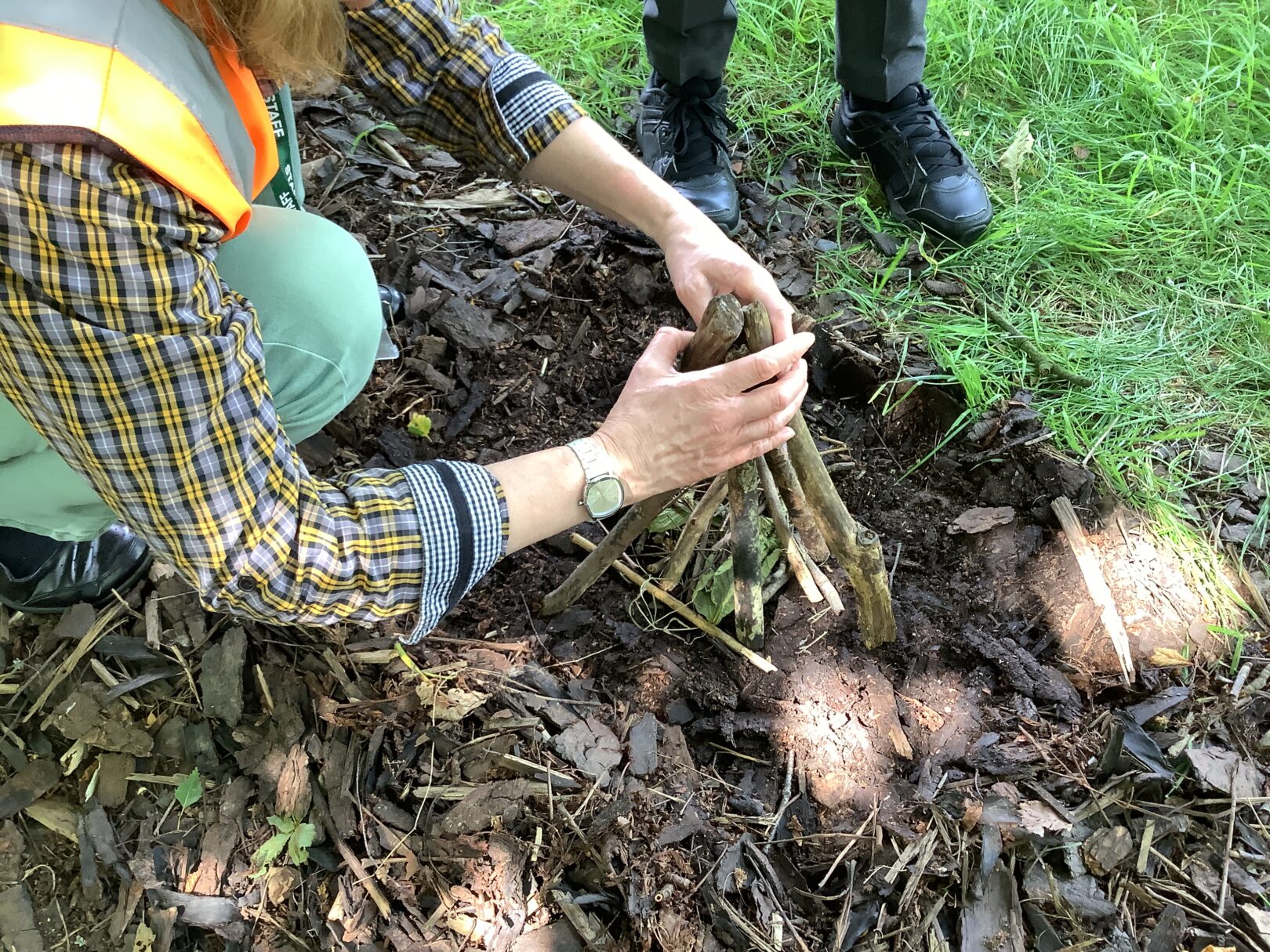 Header image for Year 6 Forest School
