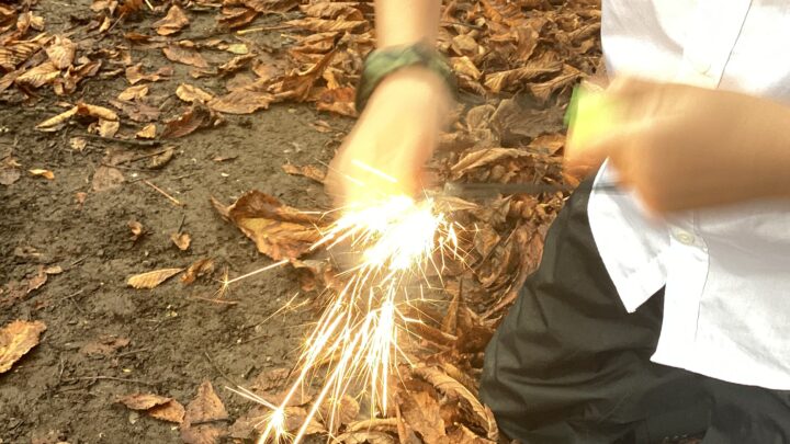 Featured image for Forest School Year 6