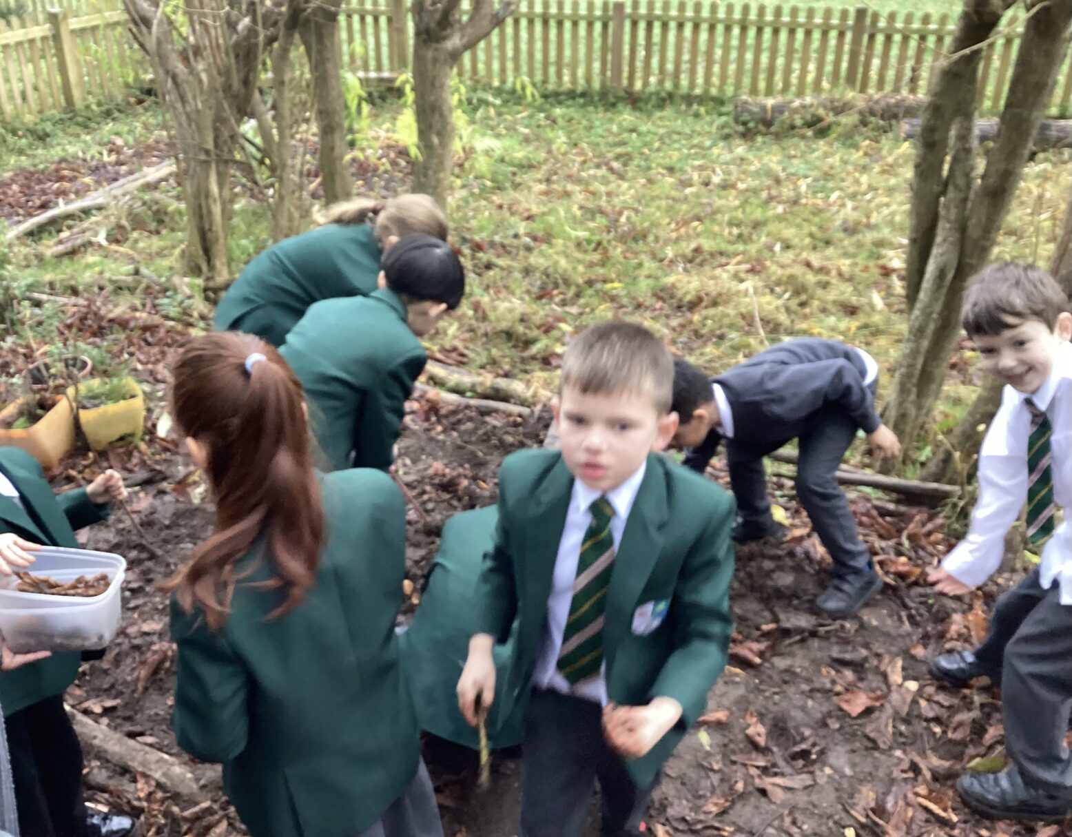 Header image for Year 2- How to make a wormery