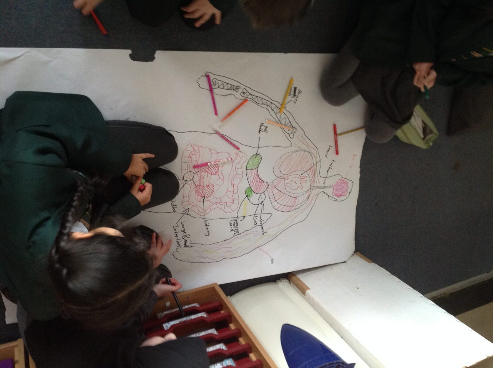 Header image for Year 6 Science