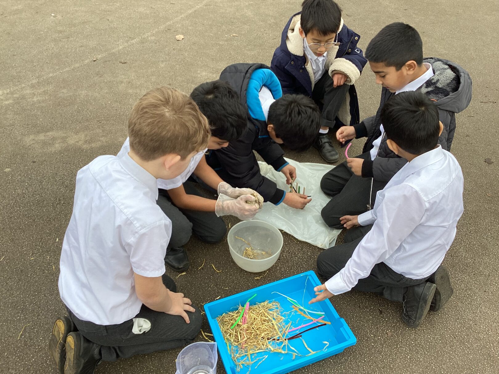 Header image for Yr 4 – Wattle and Daub