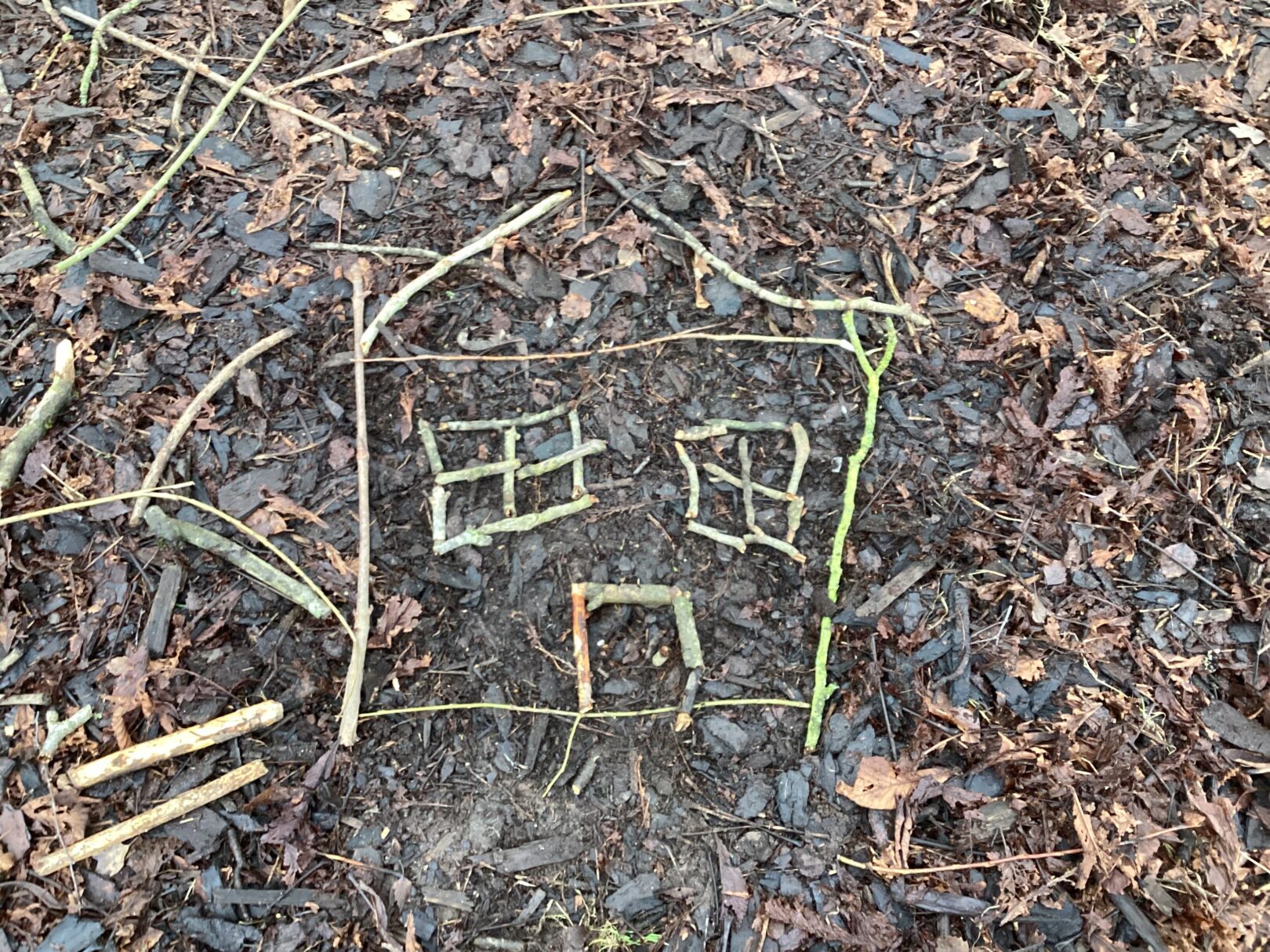 Header image for Forest School Year 3
