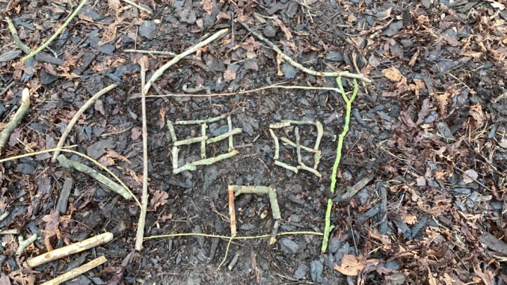 Featured image for Forest School Year 3