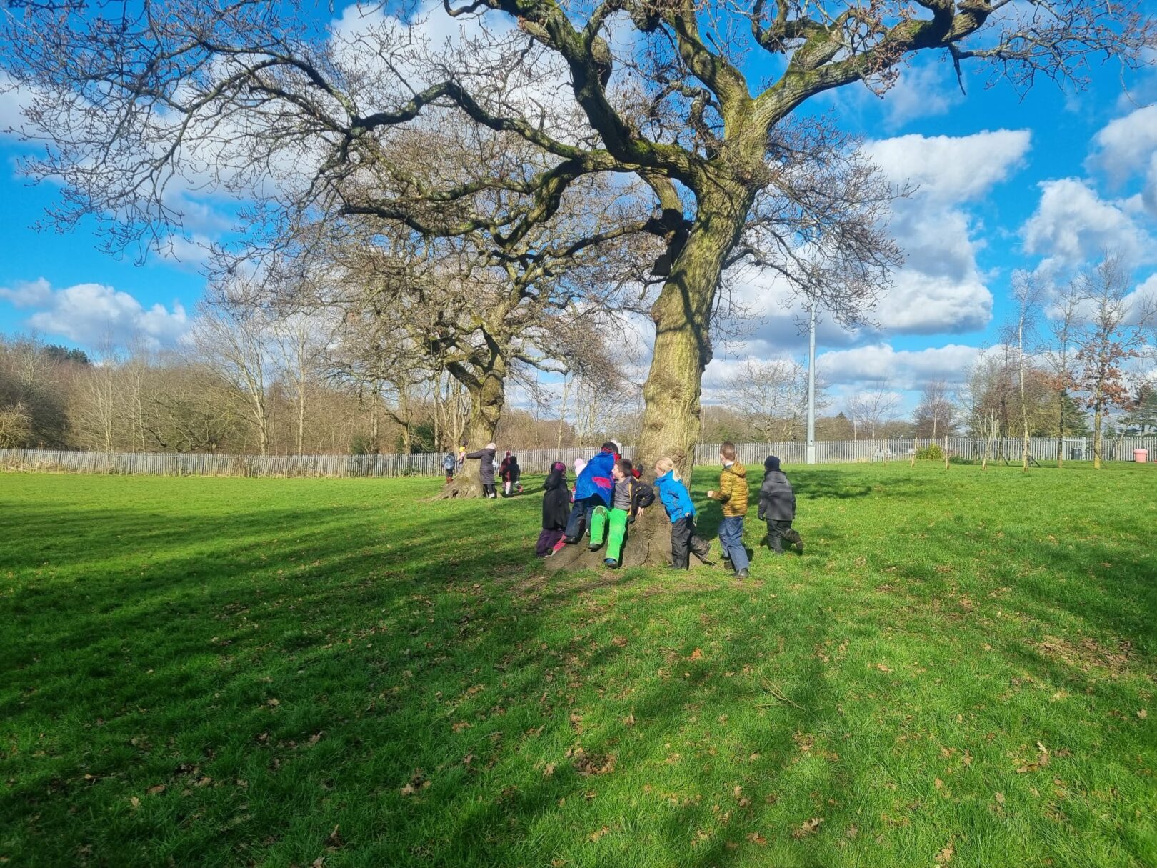 Header image for Forest School Year 3