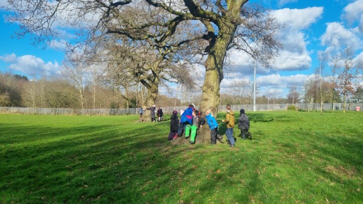 Featured image for Forest School Year 3