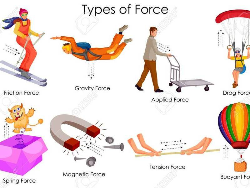 Header image for Year 5 Science