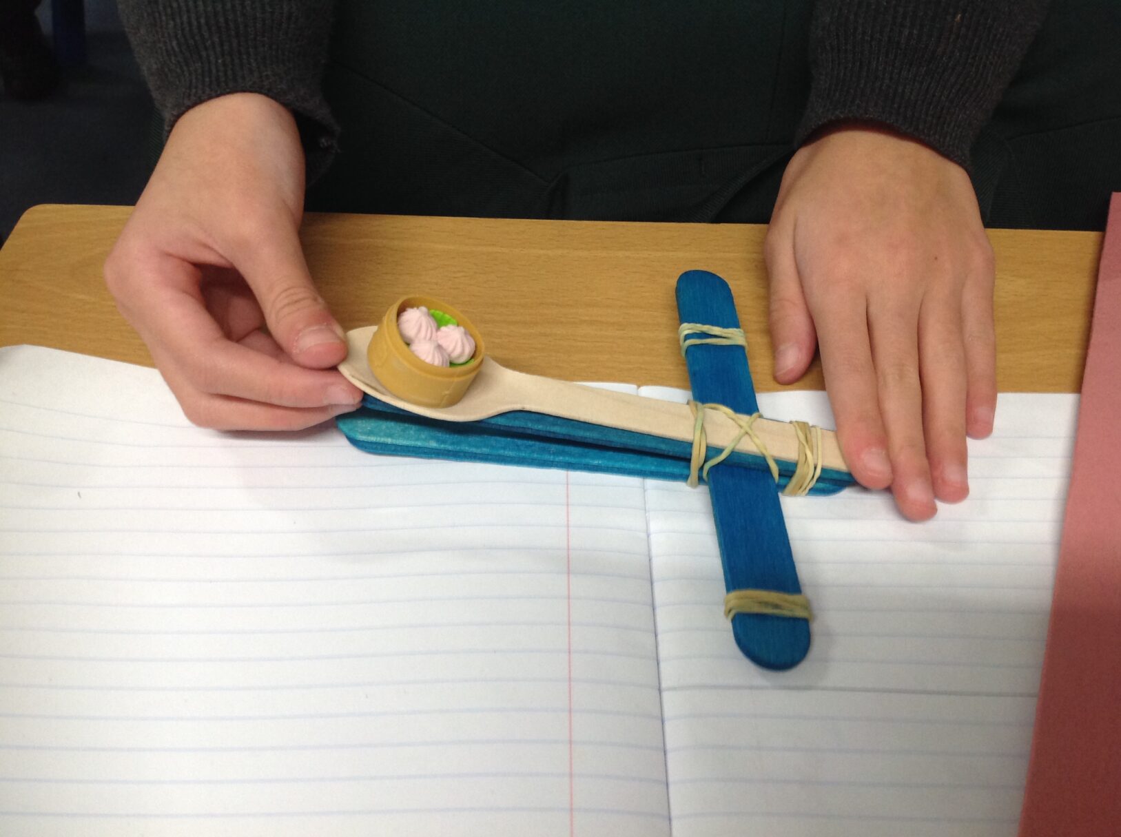 Header image for Year 5 Latin