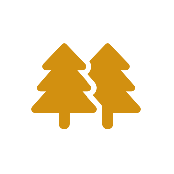 Eco Committee